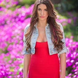 August Ames in No pants dance (Photo 1) August Ames in 'Reality Kings' No pants dance (Thumbnail 1)