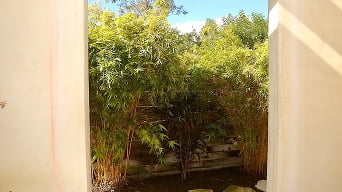 Lotus Lain en 'Loto lujurioso'